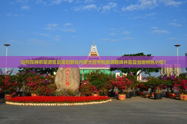 如何在神农架游览后规划前往内蒙大召寺的旅游路线并品尝当地特色小吃？