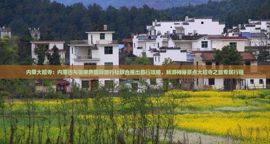内蒙大昭寺：内蒙古与张家界国际旅行社联合推出旅行攻略，畅游神秘景点大昭寺之旅专属行程