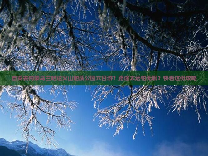 自贡去内蒙乌兰哈达火山地质公园六日游？路途太远怕无聊？快看这份攻略