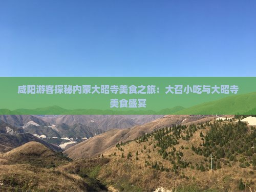 咸阳游客探秘内蒙大昭寺美食之旅：大召小吃与大昭寺美食盛宴