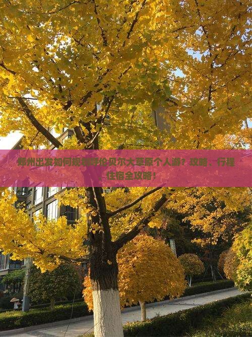 郑州出发如何规划呼伦贝尔大草原个人游？攻略、行程、住宿全攻略！