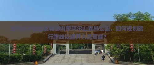 如何从开封出发畅游内蒙阿尔山森林公园，如何规划旅行路线以避开人流高峰？