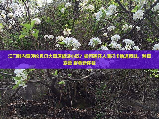 江门到内蒙呼伦贝尔大草原旅游小吃？如何避开人潮打卡地道风味，种草露营+野奢新体验