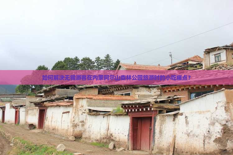 如何解决无锡游客在内蒙阿尔山森林公园旅游时的小吃痛点？