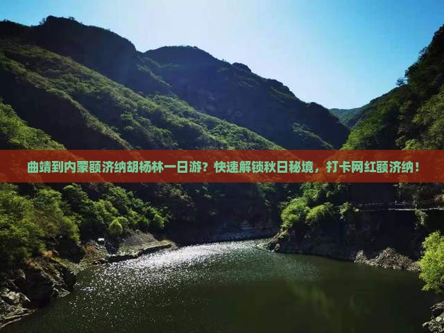 曲靖到内蒙额济纳胡杨林一日游？快速解锁秋日秘境，打卡网红额济纳！