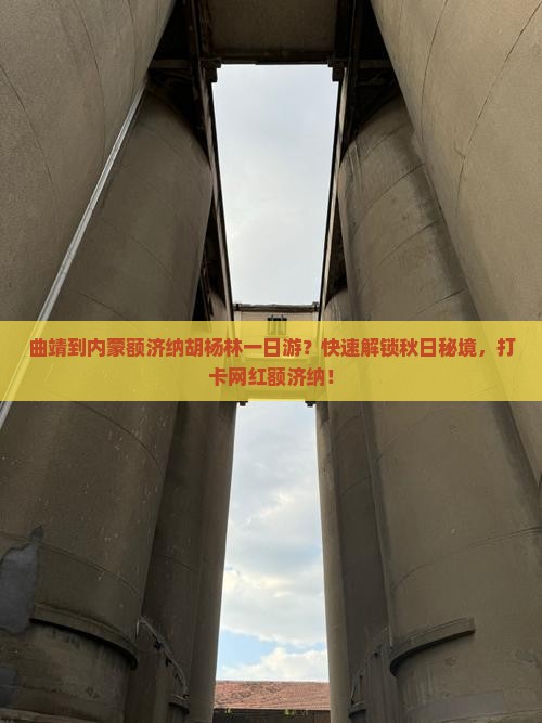 曲靖到内蒙额济纳胡杨林一日游？快速解锁秋日秘境，打卡网红额济纳！
