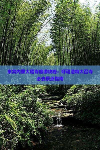 来宾内蒙大昭寺旅游攻略：呼和浩特大召寺必去景点指南