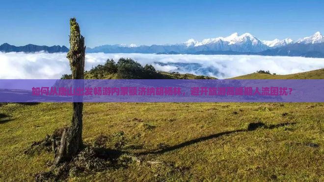 如何从唐山出发畅游内蒙额济纳胡杨林，避开旅游高峰期人流困扰？
