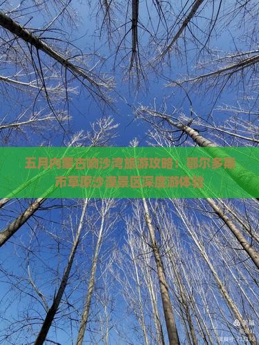 五月内蒙古响沙湾旅游攻略：鄂尔多斯市草原沙漠景区深度游体验