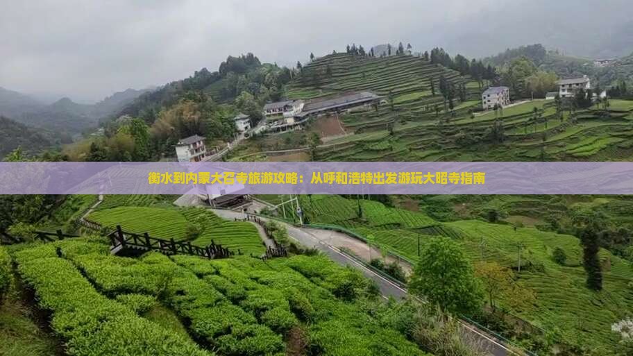衡水到内蒙大召寺旅游攻略：从呼和浩特出发游玩大昭寺指南
