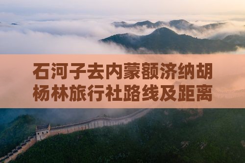 石河子去内蒙额济纳胡杨林旅行社路线及距离