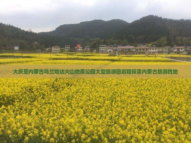 大庆至内蒙古乌兰哈达火山地质公园大型旅游团启程探索内蒙古旅游胜地
