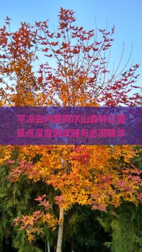 平凉去内蒙阿尔山森林公园景点深度游攻略与必游精华路线推荐