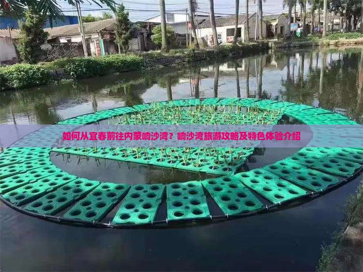 如何从宜春前往内蒙响沙湾？响沙湾旅游攻略及特色体验介绍