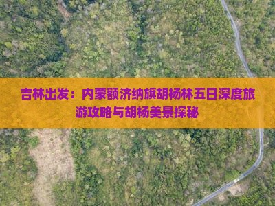 吉林出发：内蒙额济纳旗胡杨林五日深度旅游攻略与胡杨美景探秘