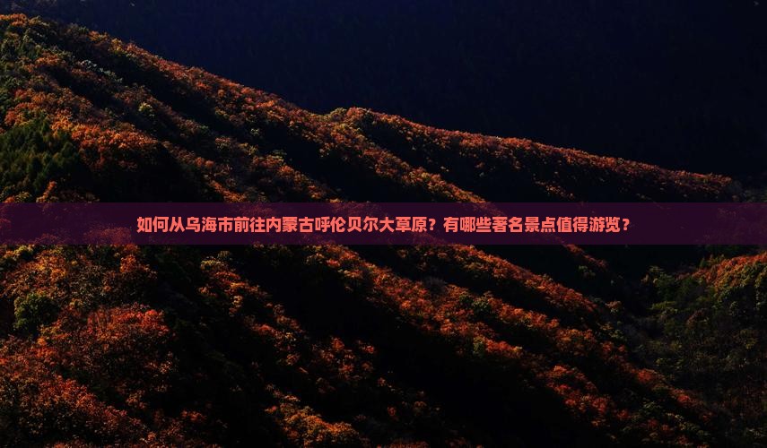 如何从乌海市前往内蒙古呼伦贝尔大草原？有哪些著名景点值得游览？