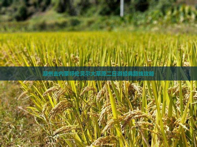 湖州去内蒙呼伦贝尔大草原二日游经典路线攻略