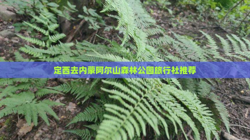 定西去内蒙阿尔山森林公园旅行社推荐