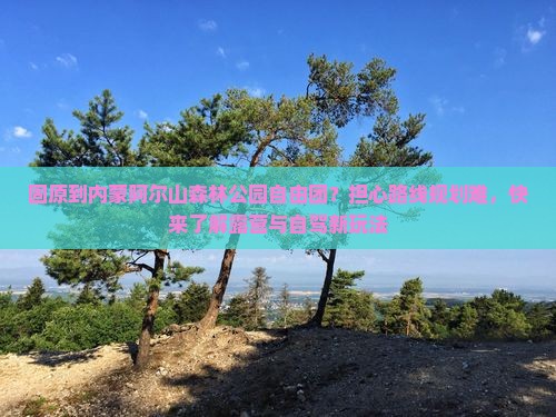固原到内蒙阿尔山森林公园自由团？担心路线规划难，快来了解露营与自驾新玩法