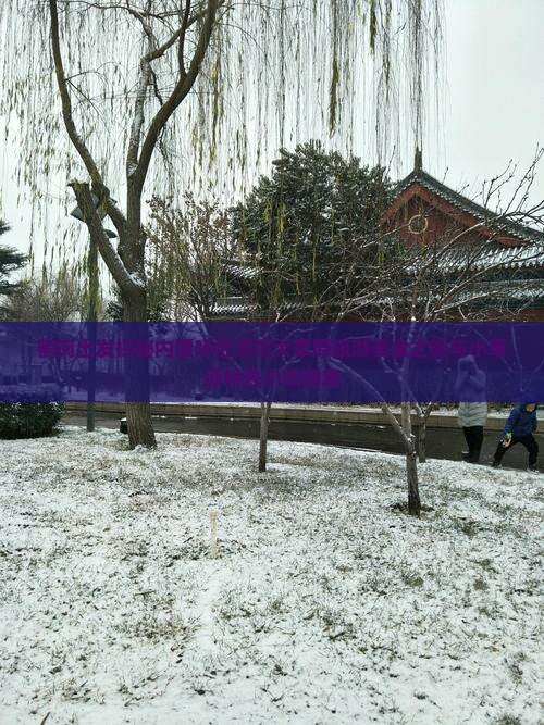 鹤岗出发探秘内蒙呼伦贝尔大草原旅游美食之旅与小草原特色小吃指南