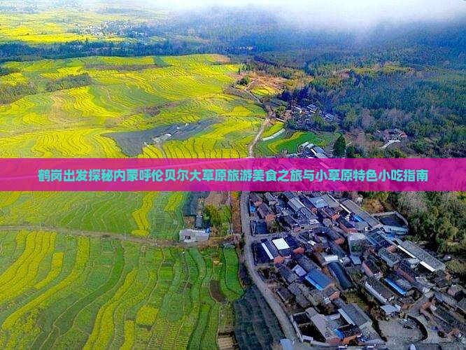 鹤岗出发探秘内蒙呼伦贝尔大草原旅游美食之旅与小草原特色小吃指南