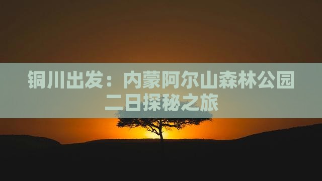 铜川出发：内蒙阿尔山森林公园二日探秘之旅