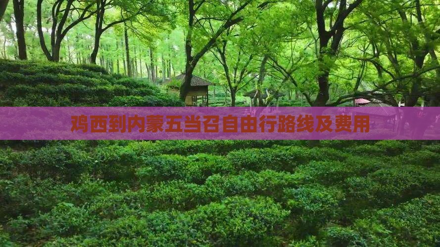 鸡西到内蒙五当召自由行路线及费用