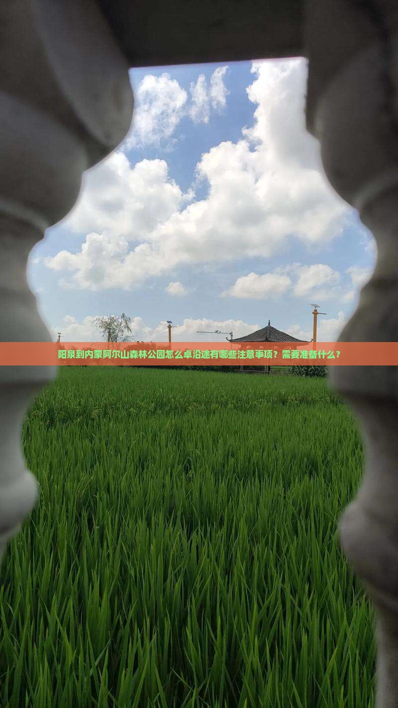 阳泉到内蒙阿尔山森林公园怎么卓沿途有哪些注意事项？需要准备什么？