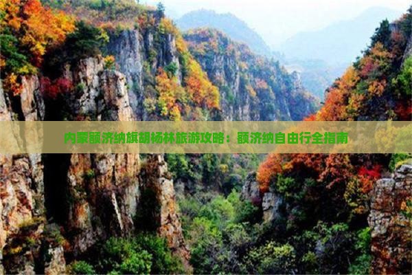 内蒙额济纳旗胡杨林旅游攻略：额济纳自由行全指南