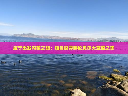 咸宁出发内蒙之旅：独自探寻呼伦贝尔大草原之美