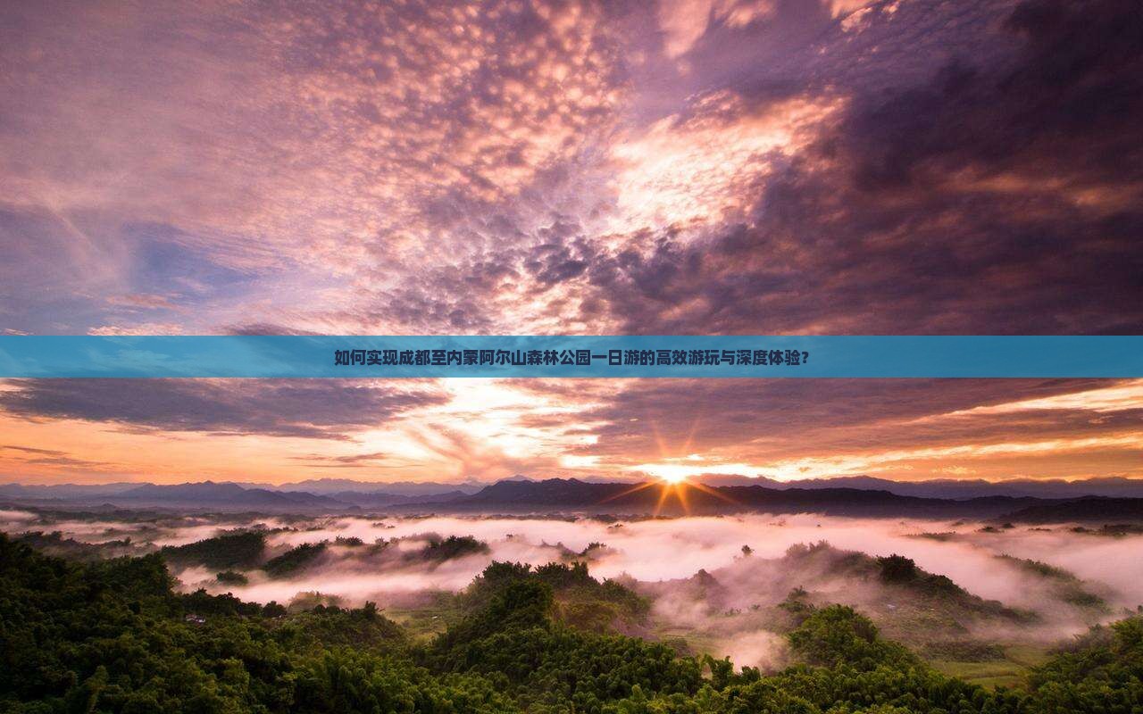 如何实现成都至内蒙阿尔山森林公园一日游的高效游玩与深度体验？