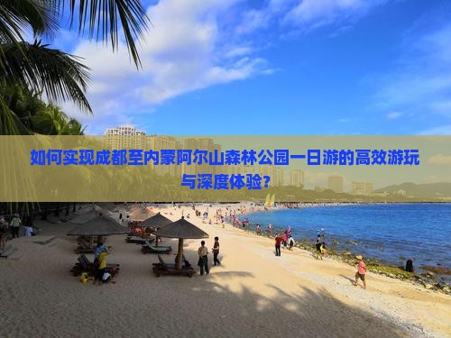 如何实现成都至内蒙阿尔山森林公园一日游的高效游玩与深度体验？
