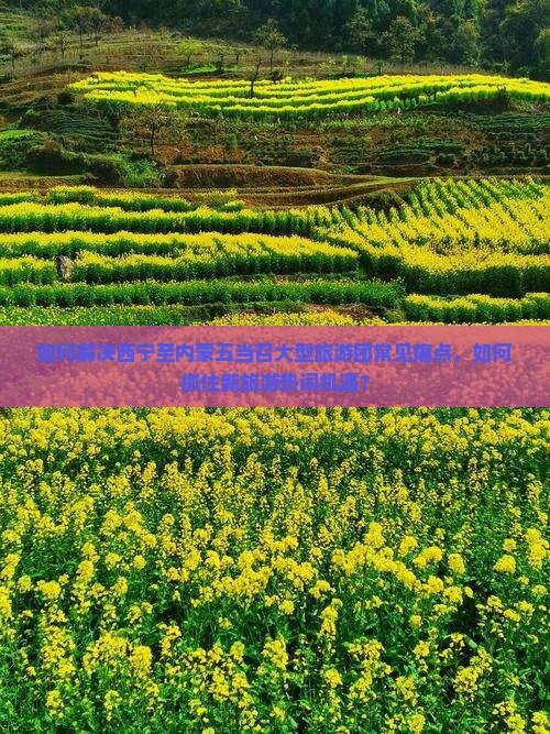 如何解决西宁至内蒙五当召大型旅游团常见痛点，如何抓住新旅游热词机遇？