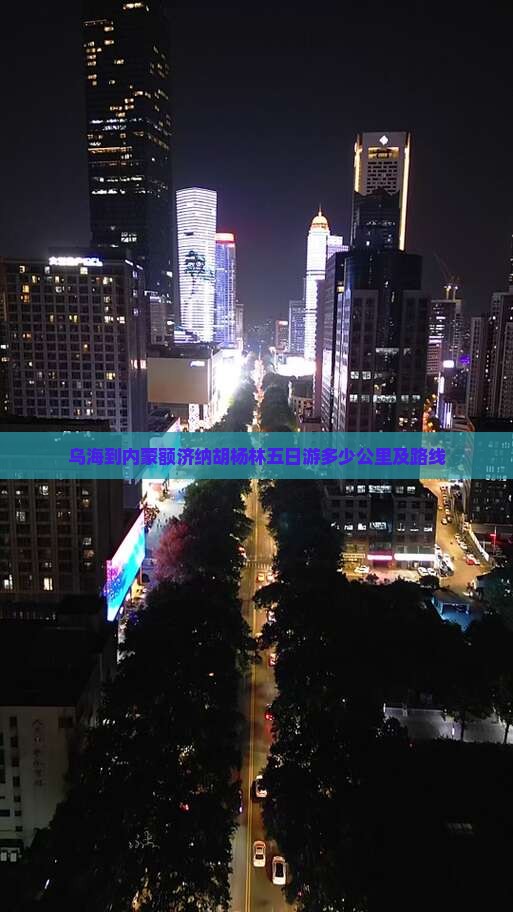 乌海到内蒙额济纳胡杨林五日游多少公里及路线