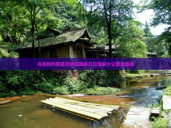 乌海到内蒙额济纳胡杨林五日游多少公里及路线