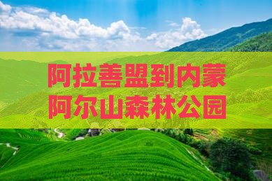 阿拉善盟到内蒙阿尔山森林公园一日游攻略