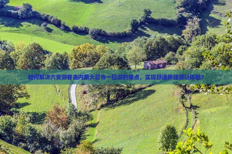 如何解决六安游客去内蒙大召寺一日游的痛点，实现舒适快捷游玩体验？
