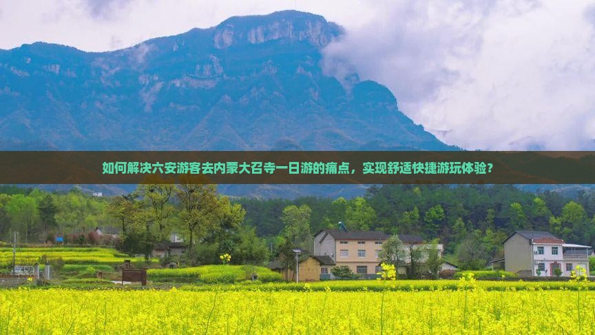 如何解决六安游客去内蒙大召寺一日游的痛点，实现舒适快捷游玩体验？