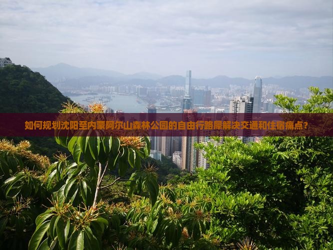 如何规划沈阳至内蒙阿尔山森林公园的自由行路犀解决交通和住宿痛点？