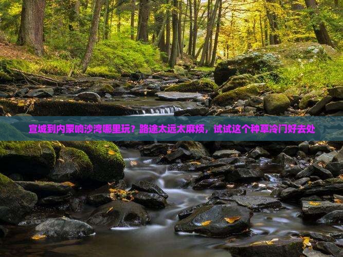 宣城到内蒙响沙湾哪里玩？路途太远太麻烦，试试这个种草冷门好去处