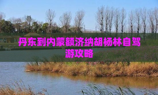 丹东到内蒙额济纳胡杨林自驾游攻略