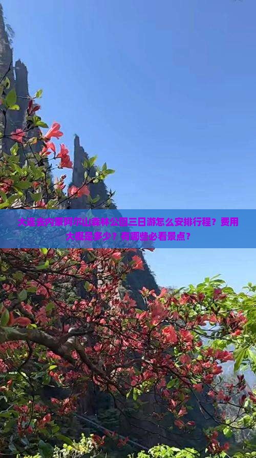 大连去内蒙阿尔山森林公园三日游怎么安排行程？费用大概是多少？有哪些必看景点？