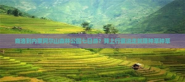 商洛到内蒙阿尔山森林公园七日游？背上行囊说走就赚种草种草
