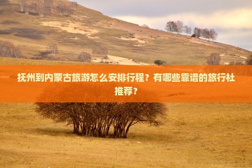 抚州到内蒙古旅游怎么安排行程？有哪些靠谱的旅行社推荐？