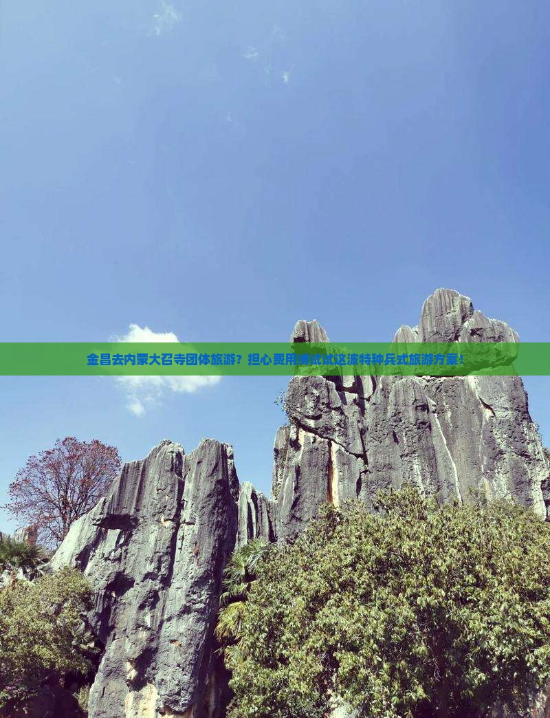 金昌去内蒙大召寺团体旅游？担心费用缚试试这波特种兵式旅游方案！