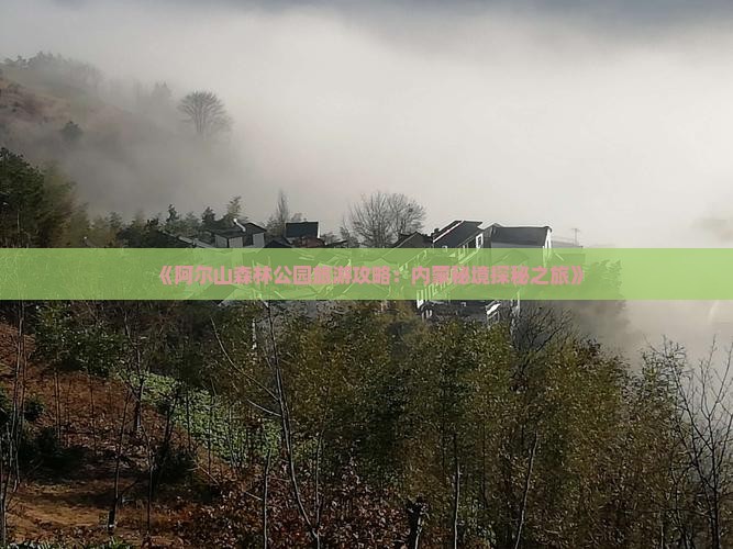《阿尔山森林公园旅游攻略：内蒙秘境探秘之旅》