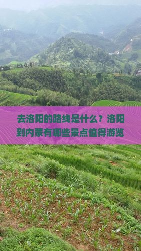 去洛阳的路线是什么？洛阳到内蒙有哪些景点值得游览？
