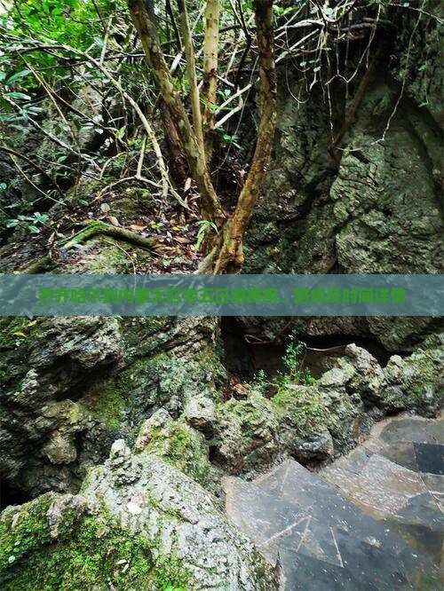 齐齐哈尔到内蒙大召寺五日游费用、路线及时间详情