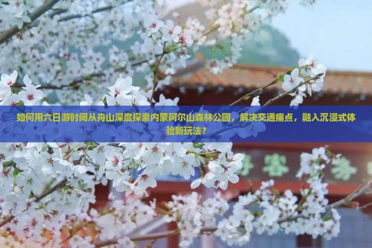 如何用六日游时间从舟山深度探索内蒙阿尔山森林公园，解决交通痛点，融入沉浸式体验新玩法？