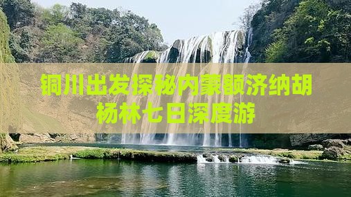 铜川出发探秘内蒙额济纳胡杨林七日深度游